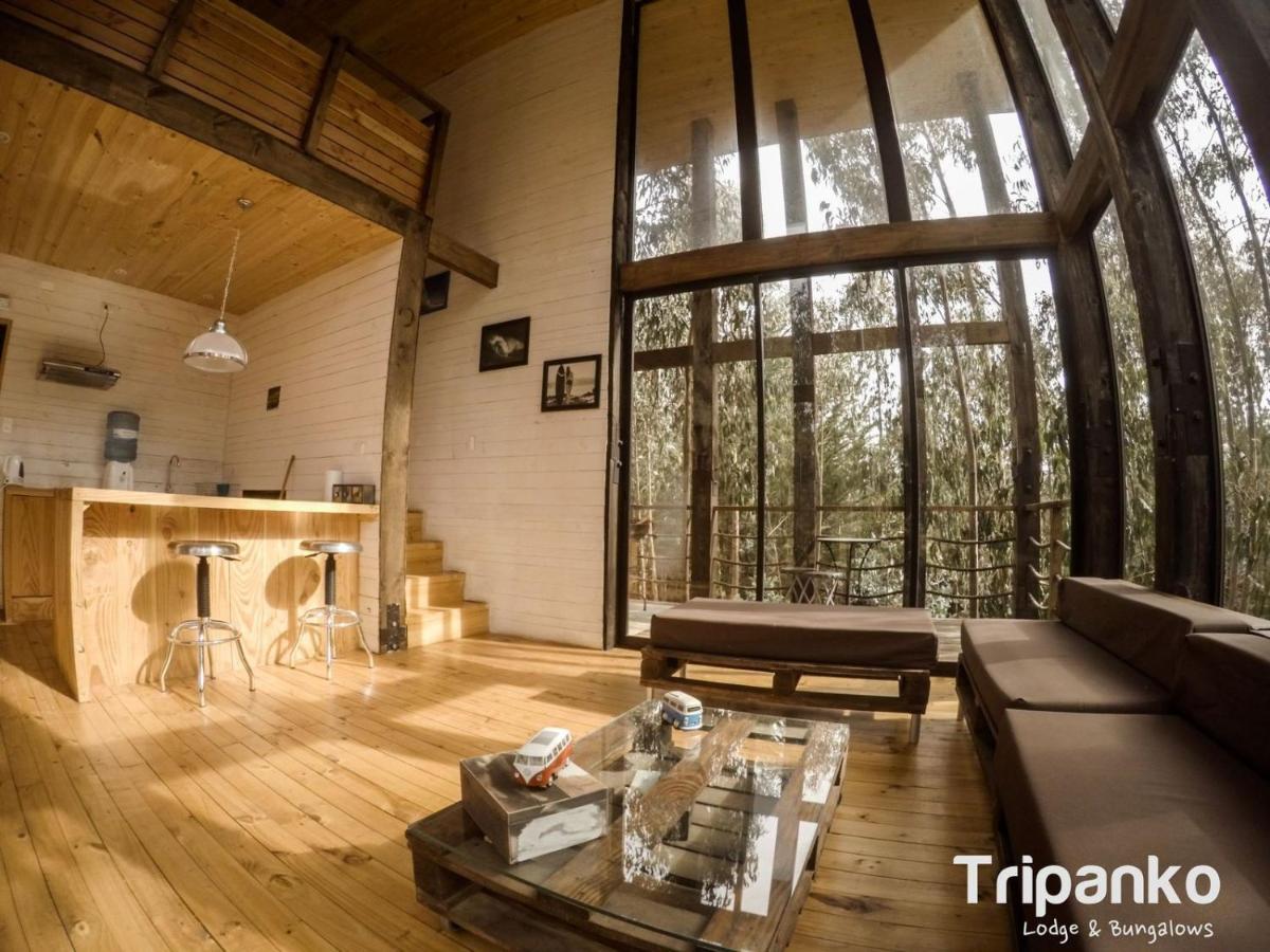 Tripanko Lodge & Bungalows Pichilemu Exteriér fotografie