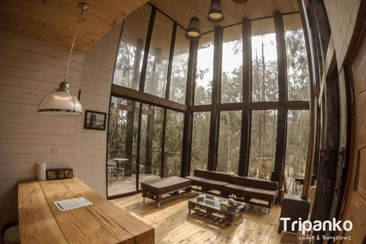 Tripanko Lodge & Bungalows Pichilemu Exteriér fotografie