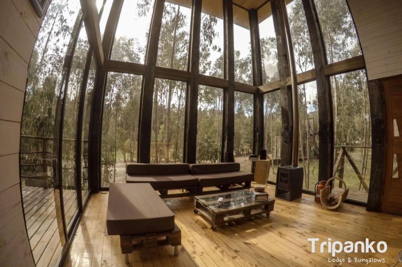 Tripanko Lodge & Bungalows Pichilemu Exteriér fotografie