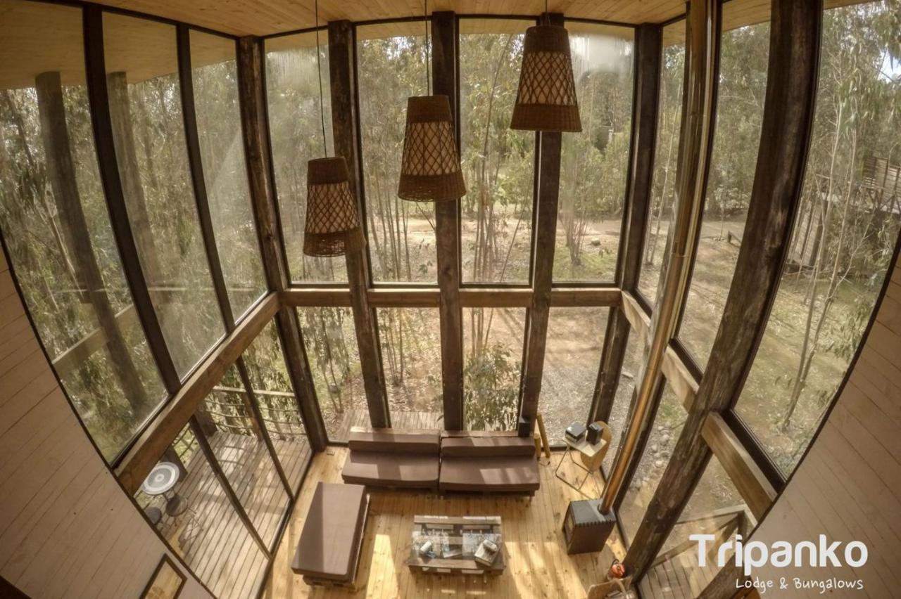 Tripanko Lodge & Bungalows Pichilemu Exteriér fotografie