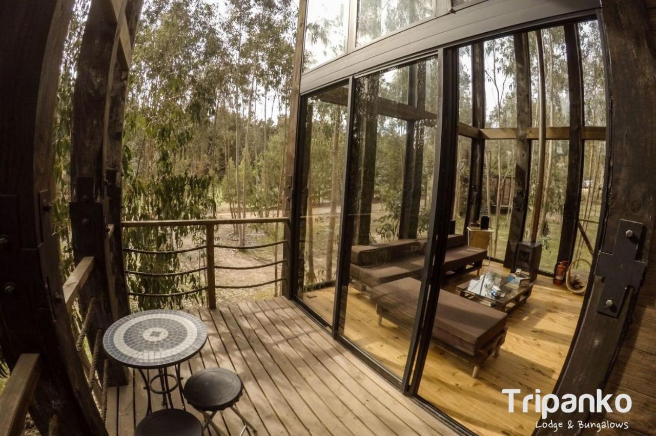 Tripanko Lodge & Bungalows Pichilemu Exteriér fotografie