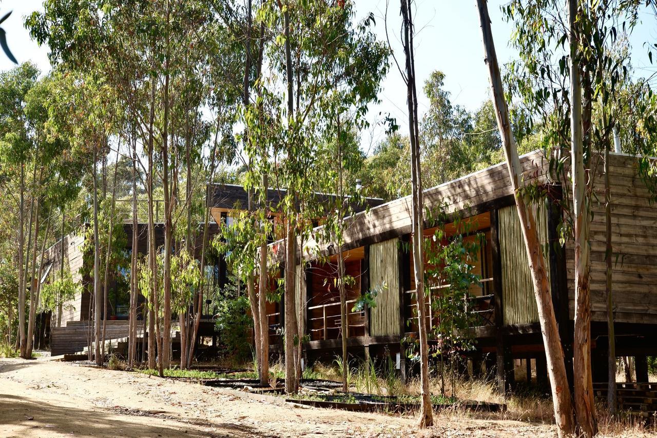 Tripanko Lodge & Bungalows Pichilemu Exteriér fotografie