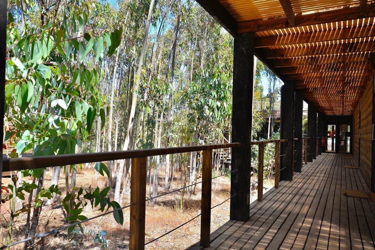 Tripanko Lodge & Bungalows Pichilemu Exteriér fotografie