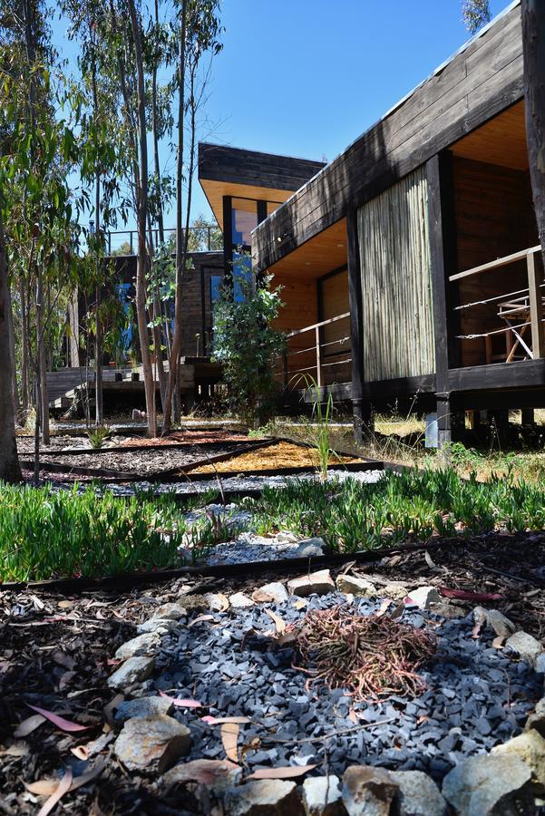 Tripanko Lodge & Bungalows Pichilemu Exteriér fotografie