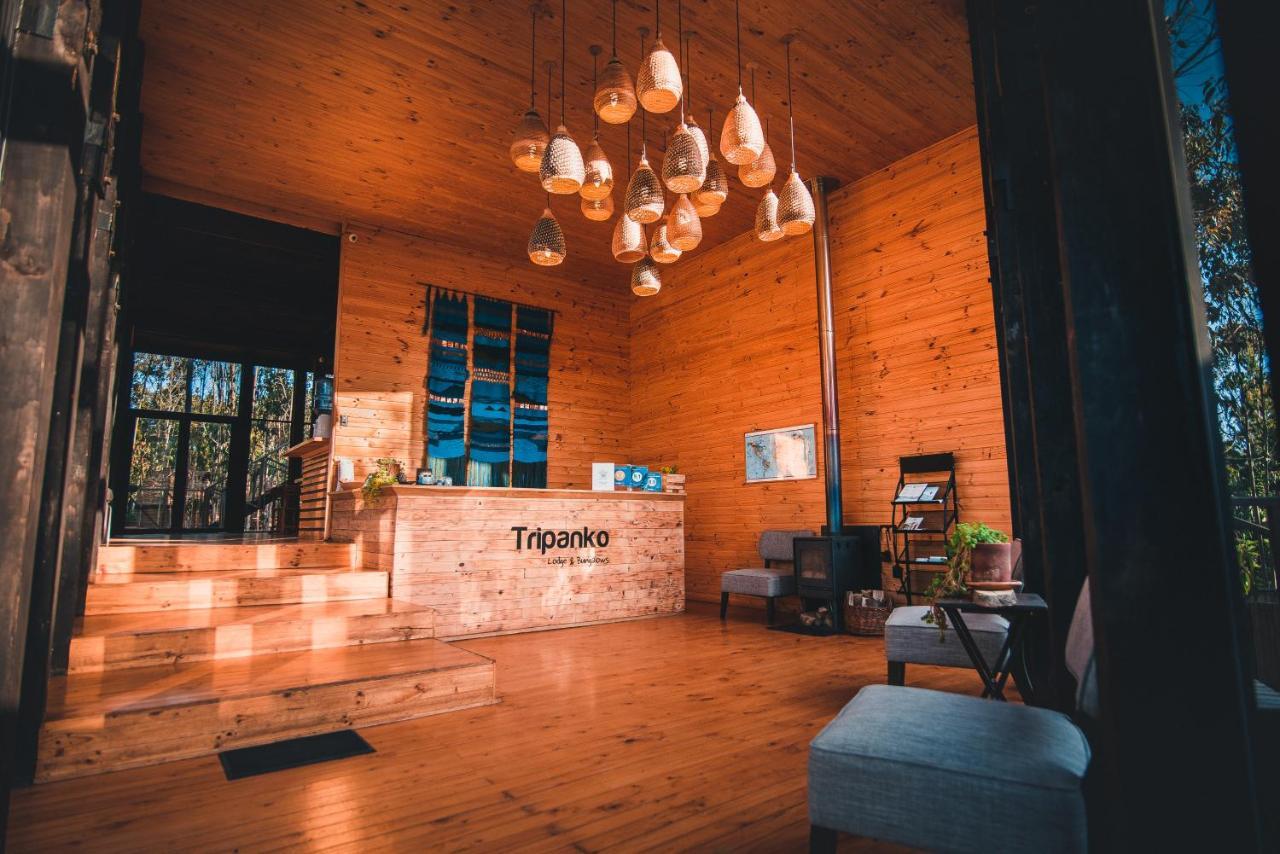 Tripanko Lodge & Bungalows Pichilemu Exteriér fotografie